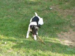 Resize of P1030759.JPG